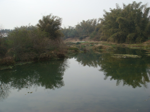 DSC09900.JPG