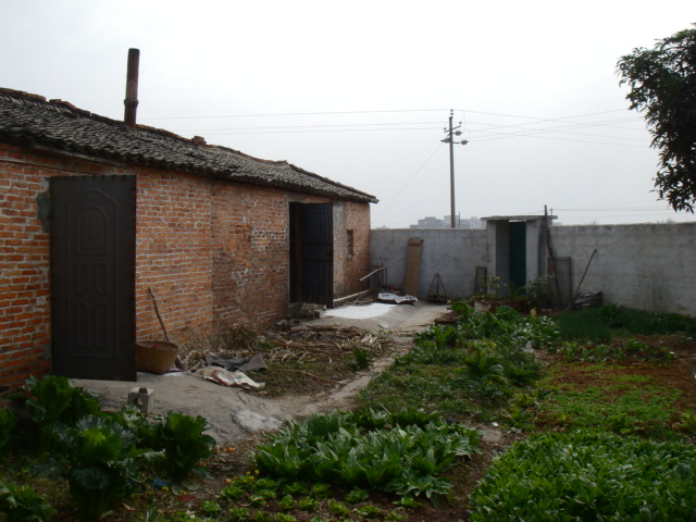 DSC09906.JPG