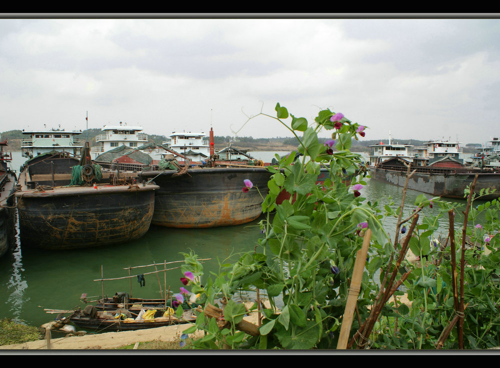 DSC07877.jpg