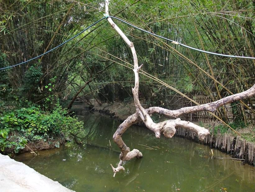 岭脚村那汪水 (5).jpg