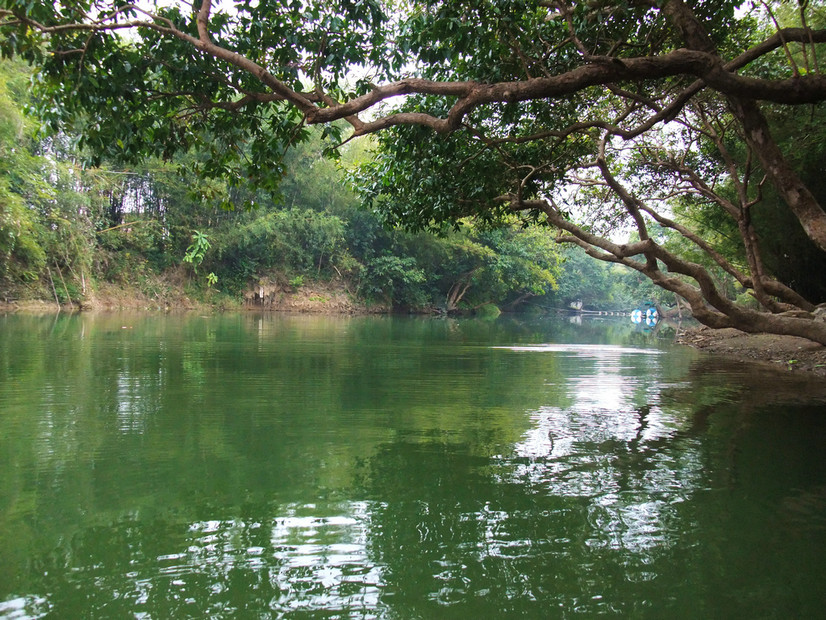 岭脚村那汪水 (10).jpg