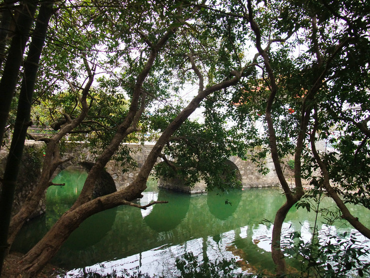 岭脚村那汪水 (13).jpg