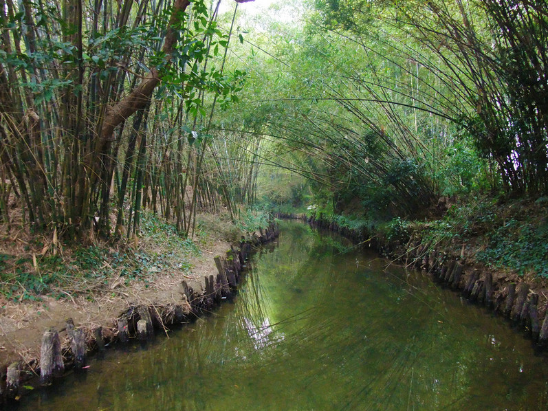 岭脚村那汪水.jpg