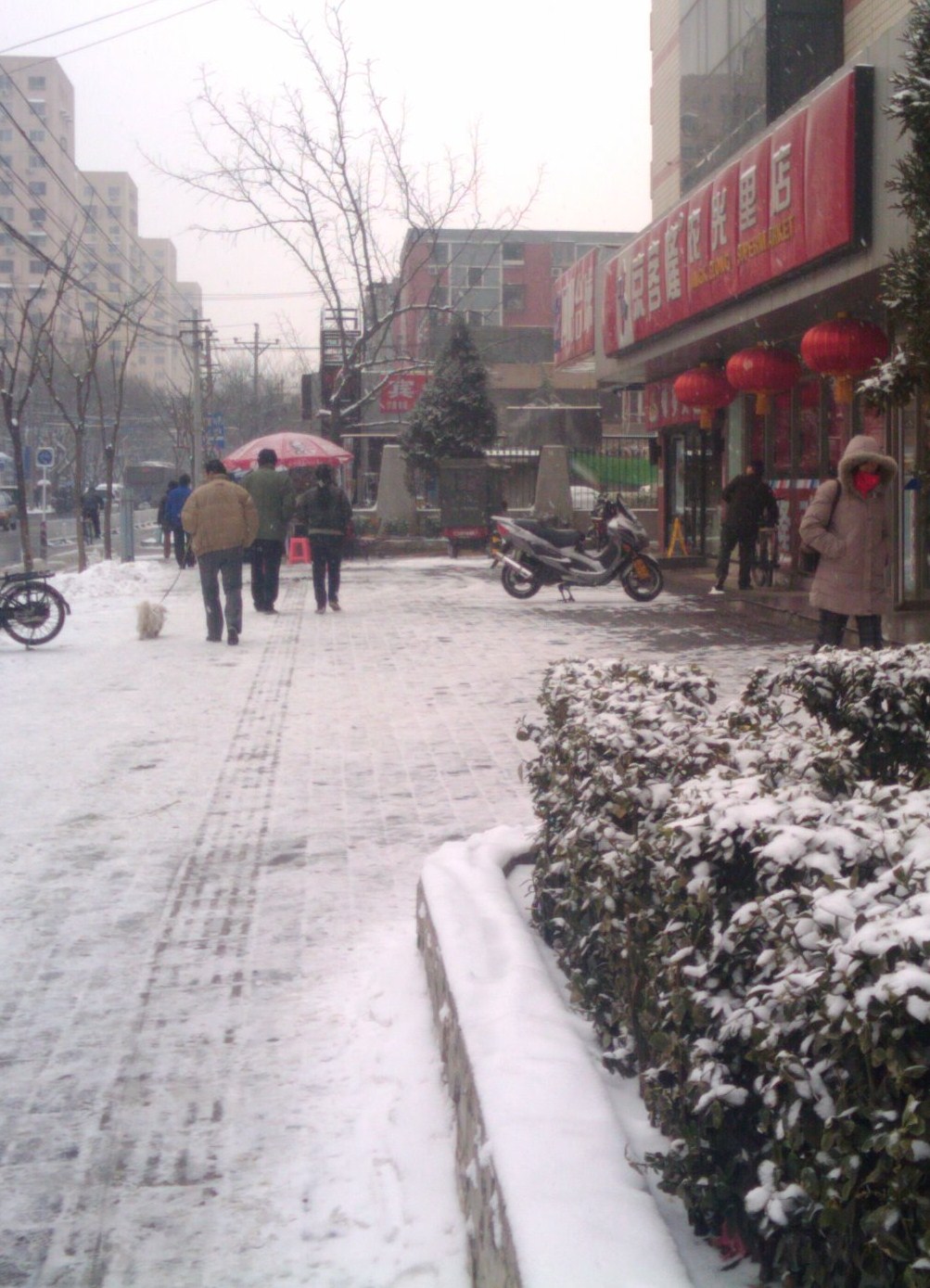 2011-02-10 11.47.10.jpg