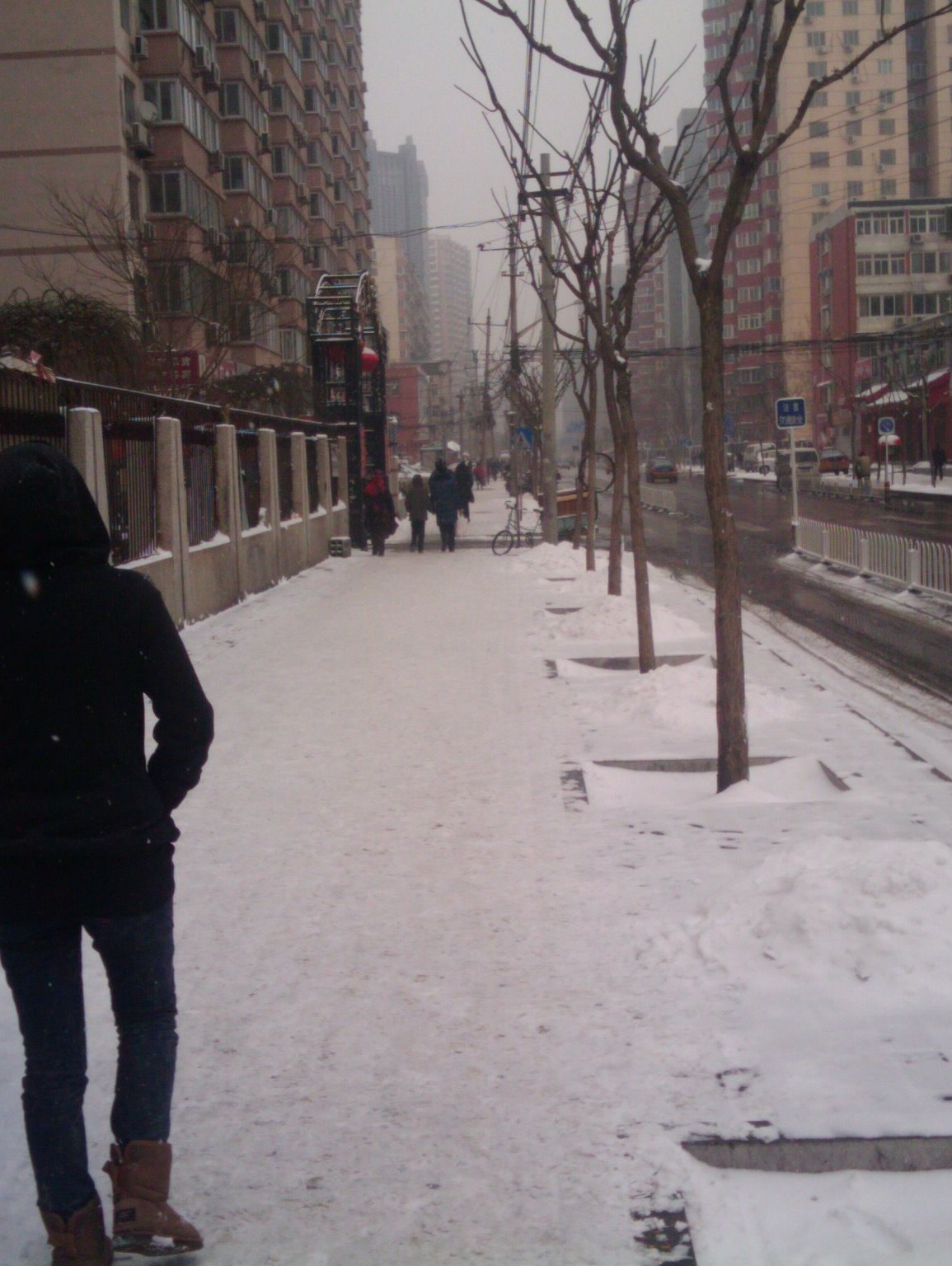 2011-02-10 11.47.37.jpg