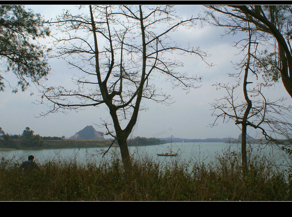 DSC07981.JPG