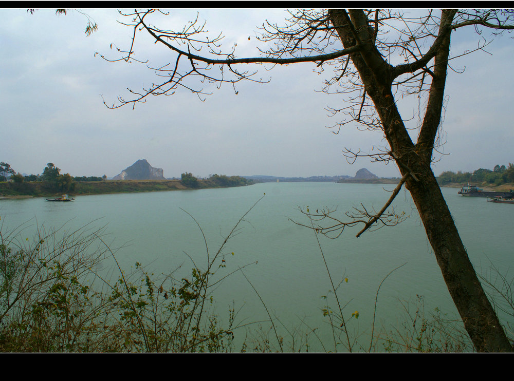DSC07983.JPG