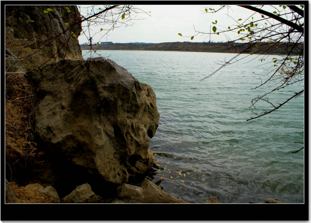 DSC07959.JPG
