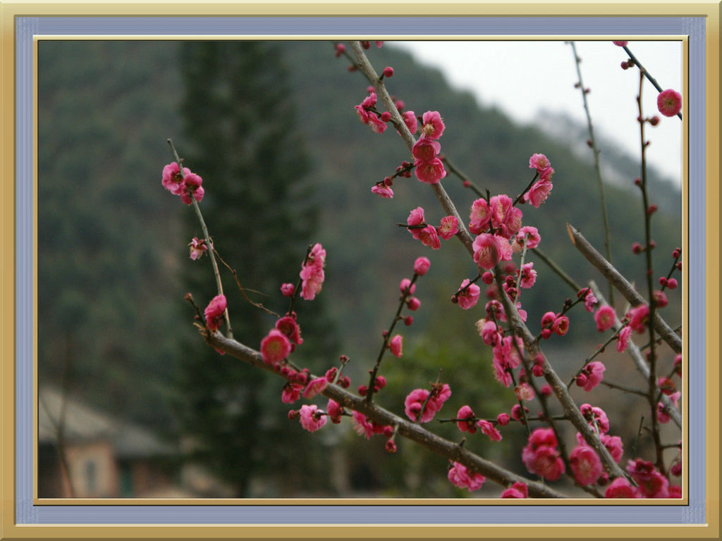 DSC08282.jpg