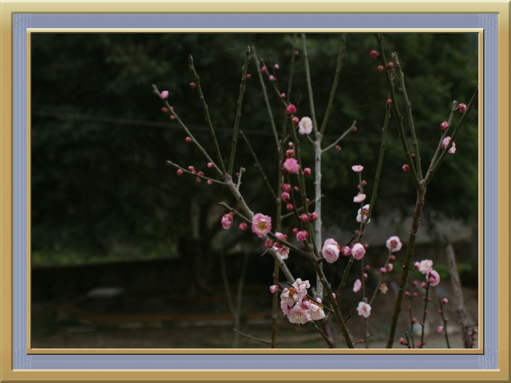 DSC08297.jpg