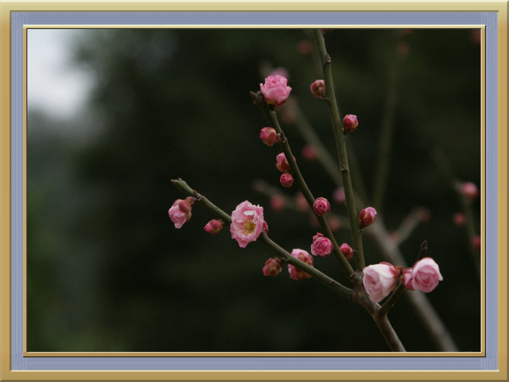 DSC08300.jpg