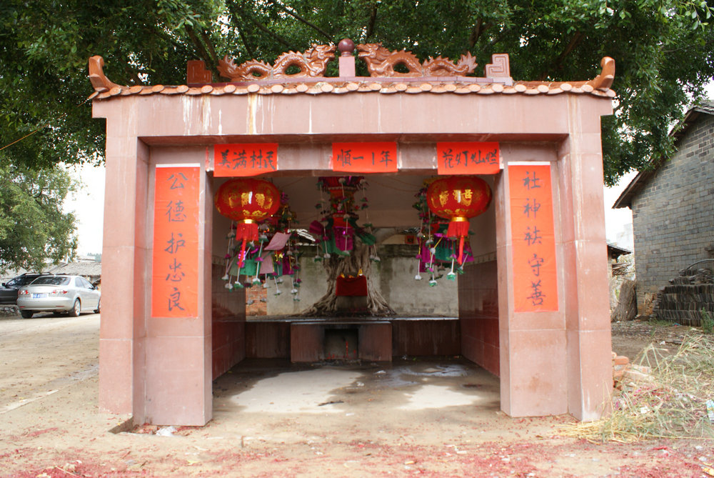 DSC08386.JPG
