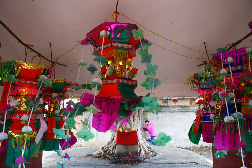 DSC08390.JPG