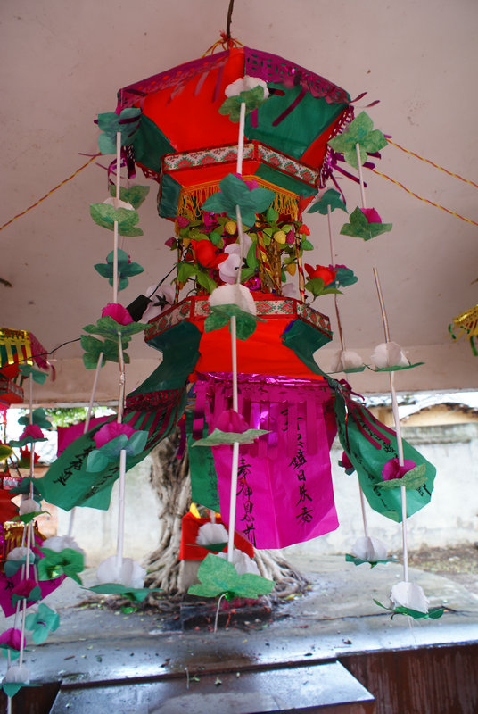 DSC08397.JPG