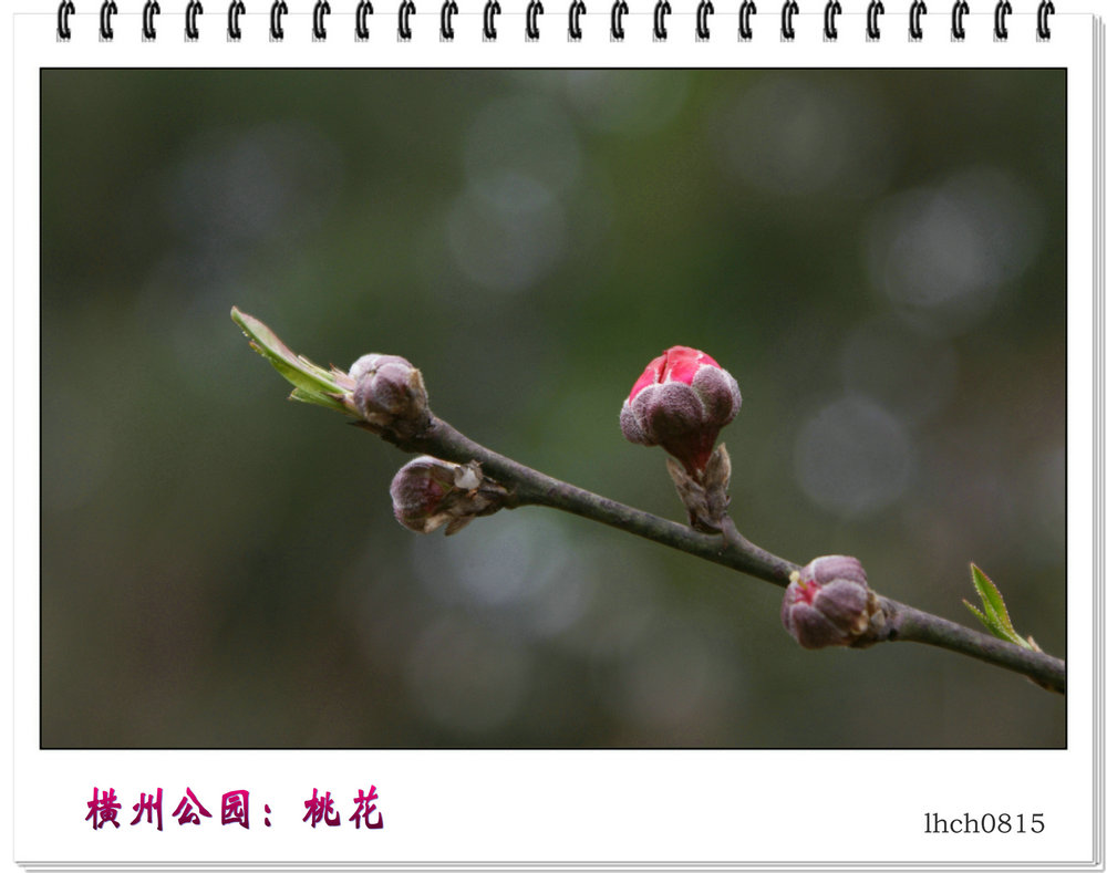 DSC08915.jpg