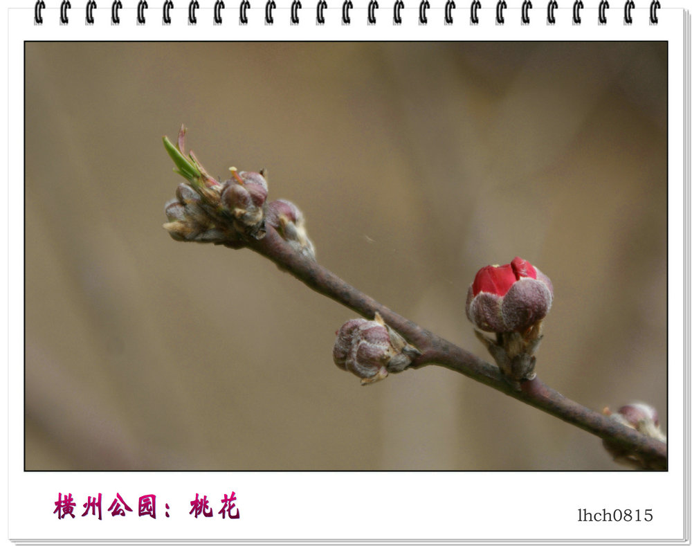 DSC08917.jpg