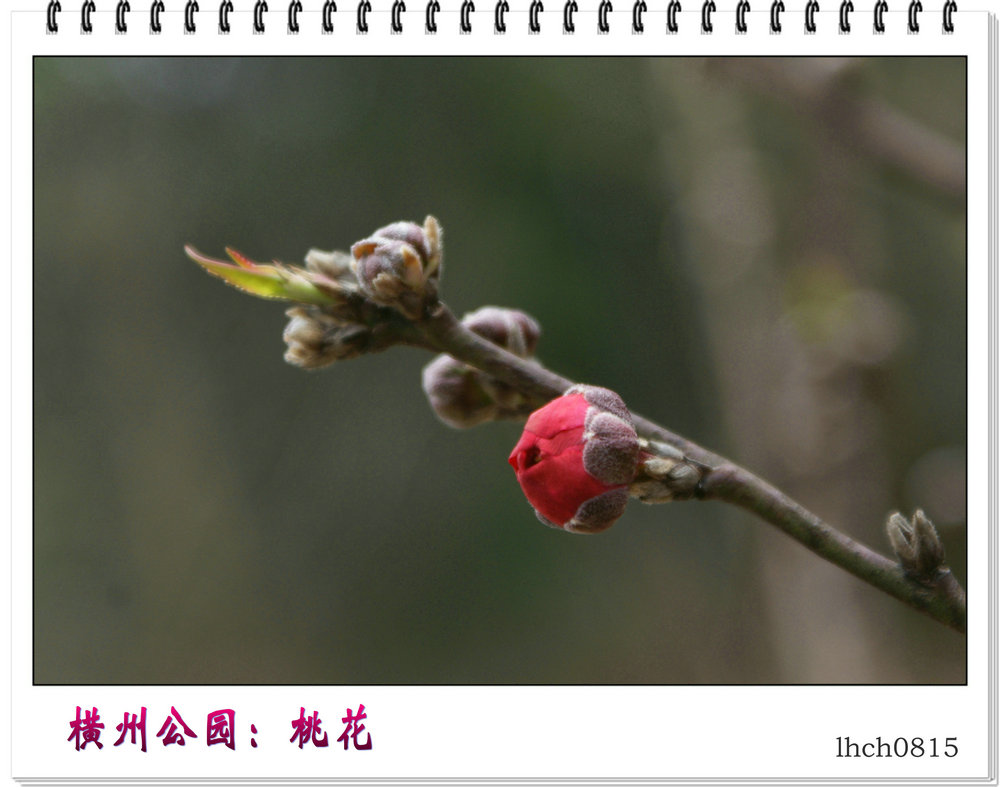 DSC08923.jpg
