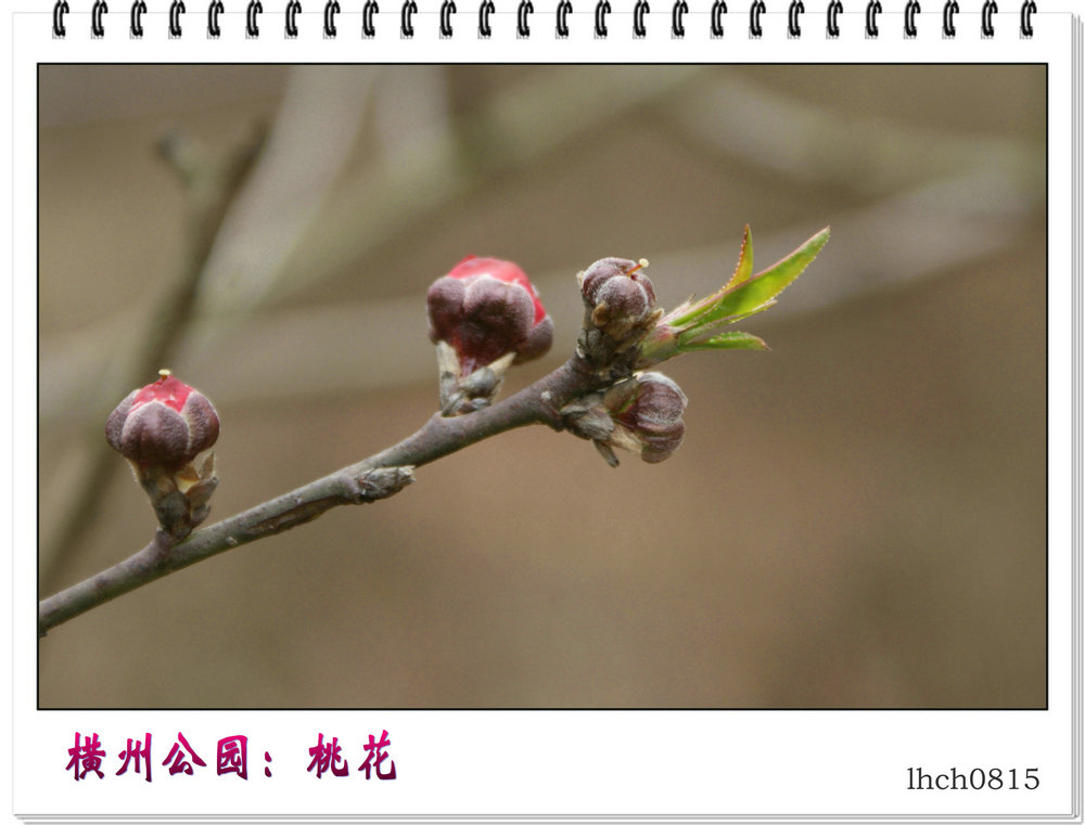 DSC08925.jpg