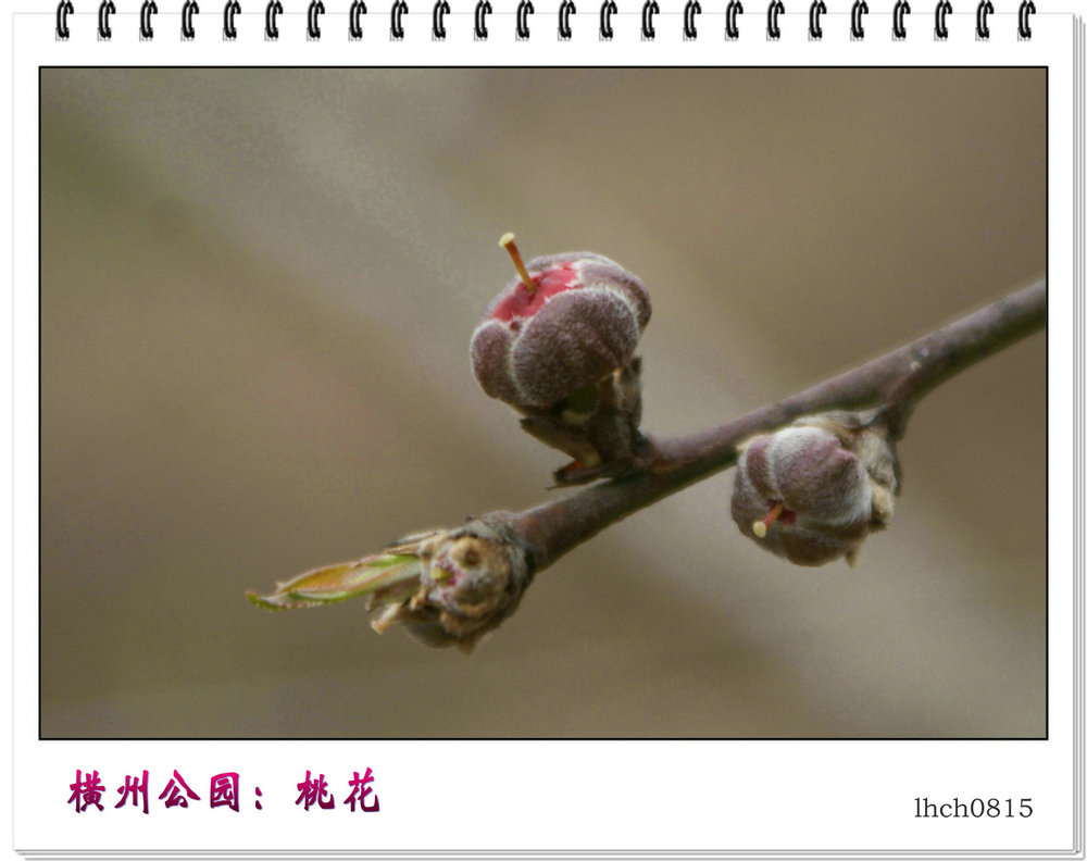 DSC08927.jpg