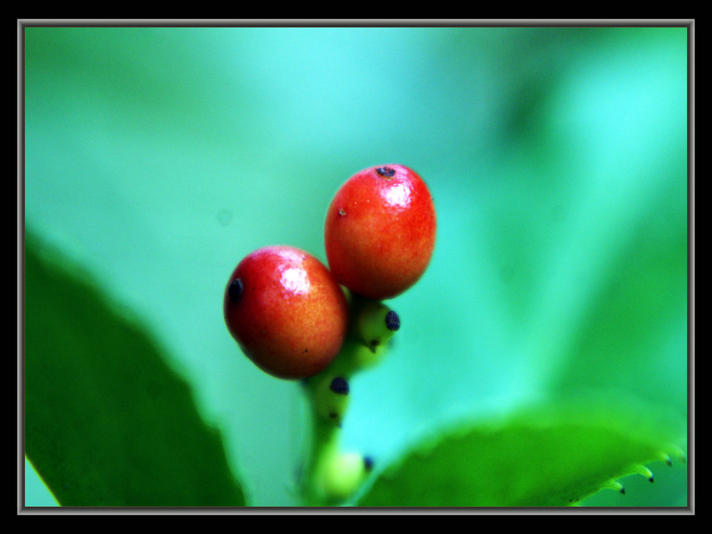 DSC07312.JPG