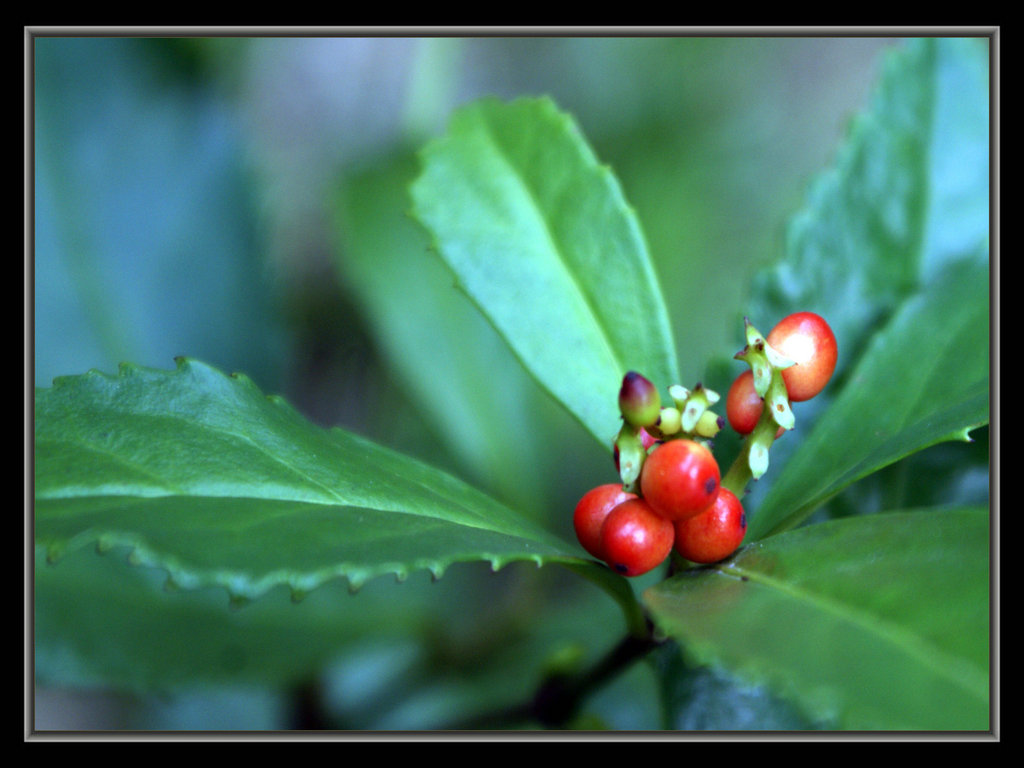 DSC07327.JPG