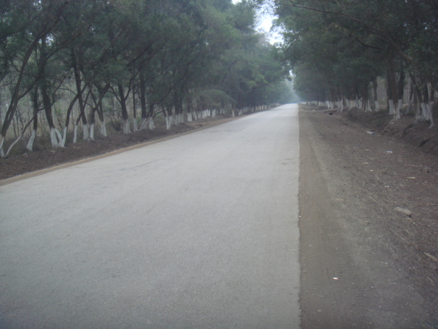 DSC01262.JPG