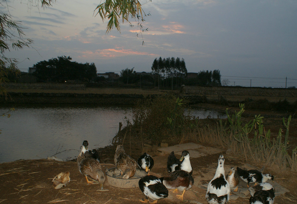 DSC08480.JPG