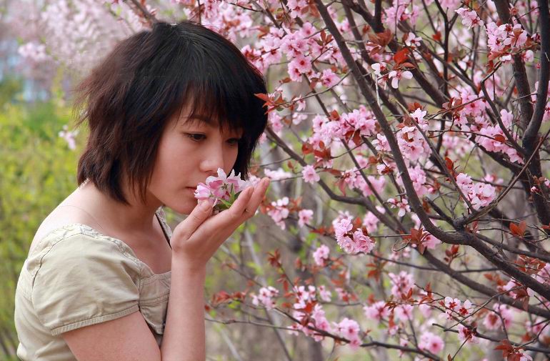 桃花开了.jpg
