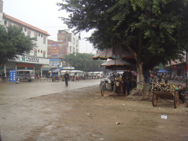 DSC01288.JPG