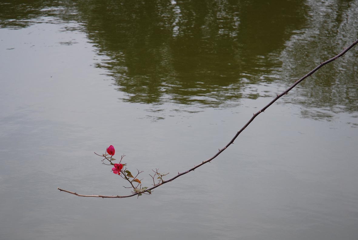 DSC_0658.JPG
