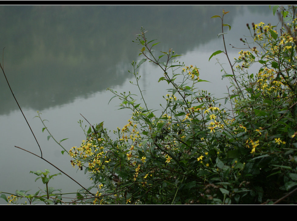 DSC09115.jpg
