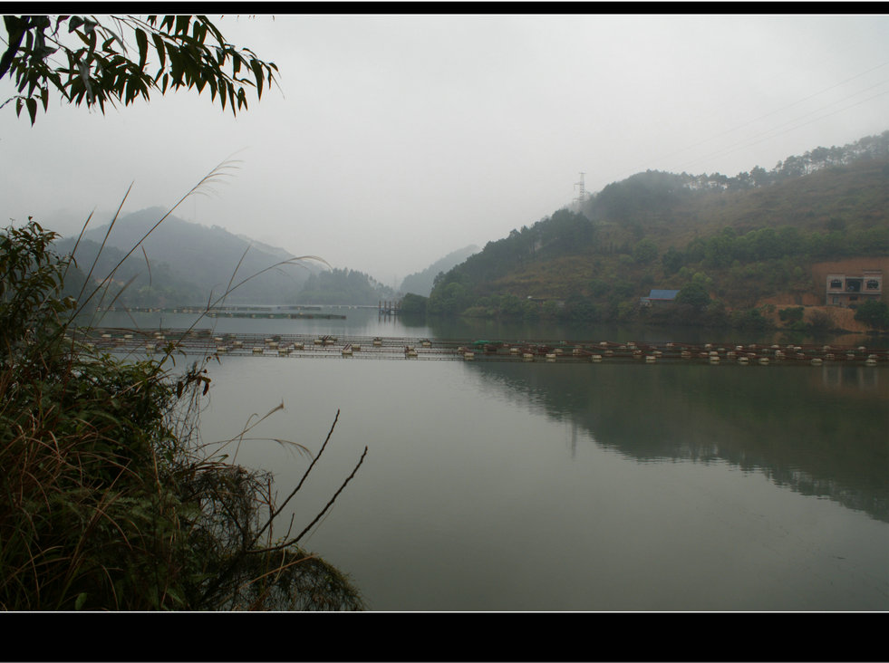 DSC09094.jpg