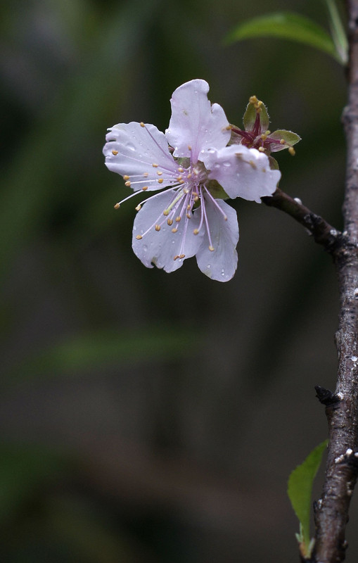 a8912567_s.jpg