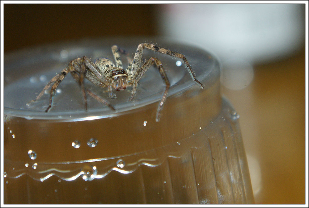 DSC09322_副本.JPG