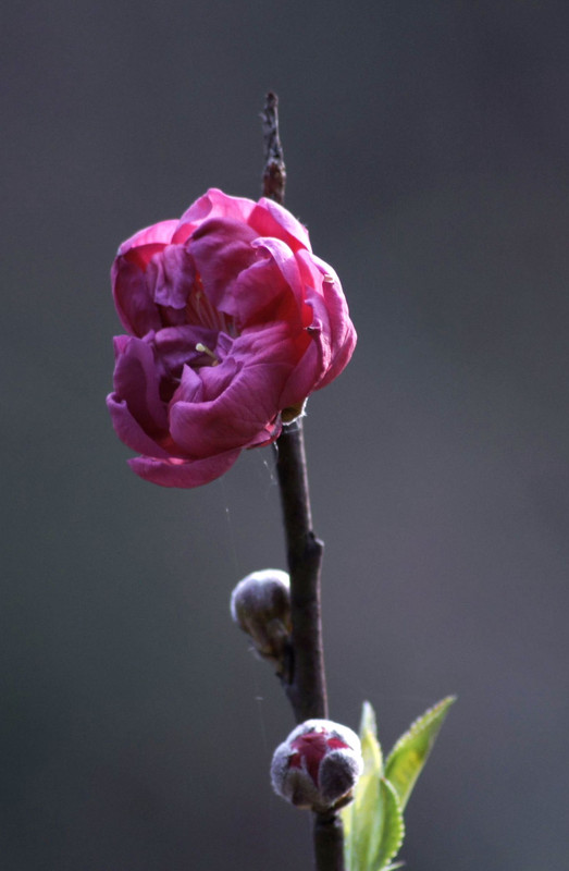 a8918807_s.jpg