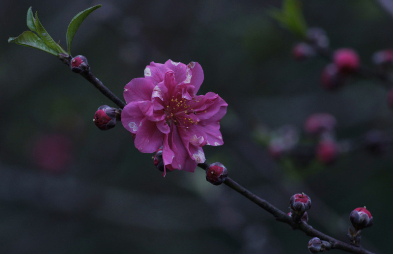 a8918713_s.jpg