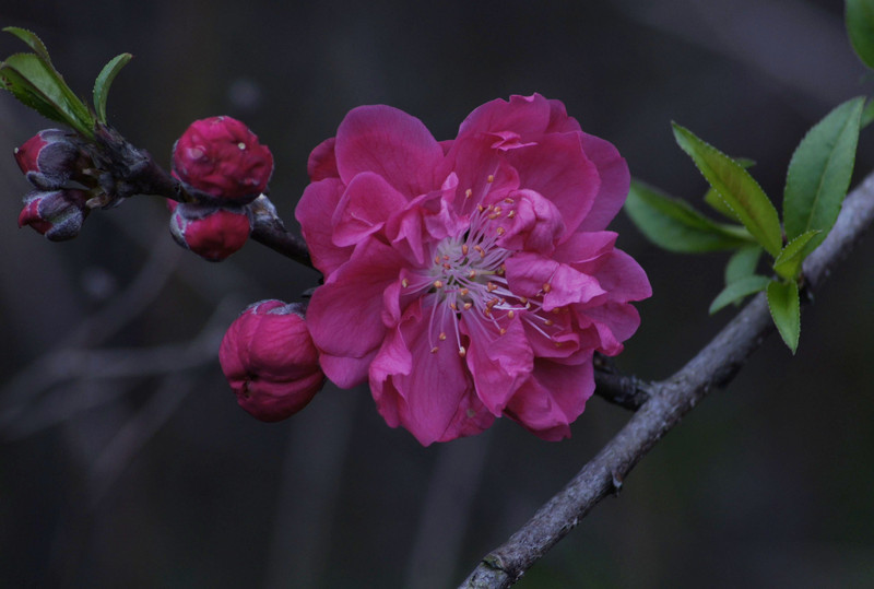 a8918719_s.jpg