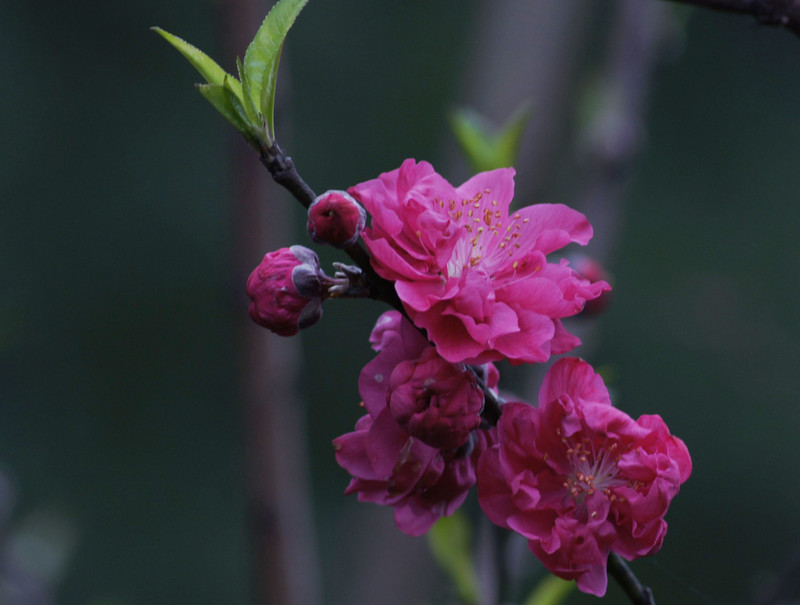 a8918727_s.jpg