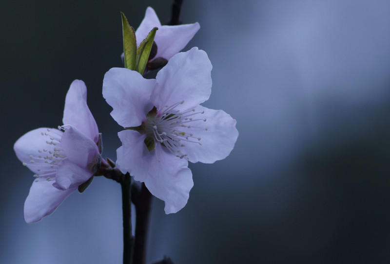a8918734_s.jpg