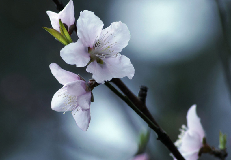 a8918740_s.jpg