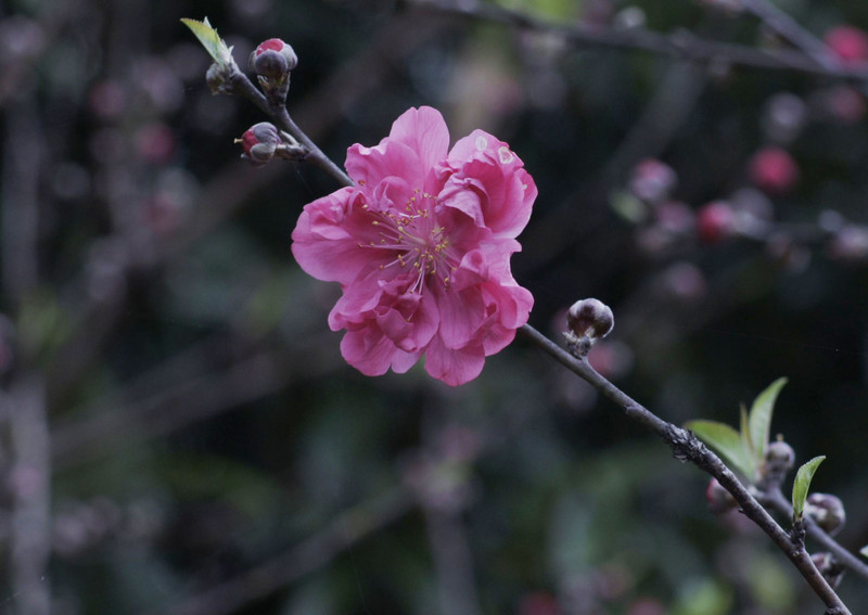a8918788_s.jpg
