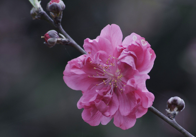 a8918795_s.jpg