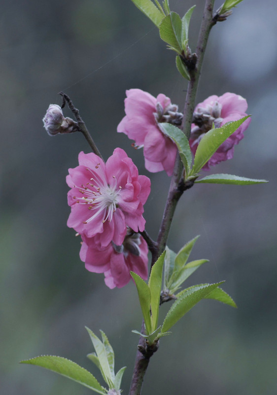 a8918798_s.jpg