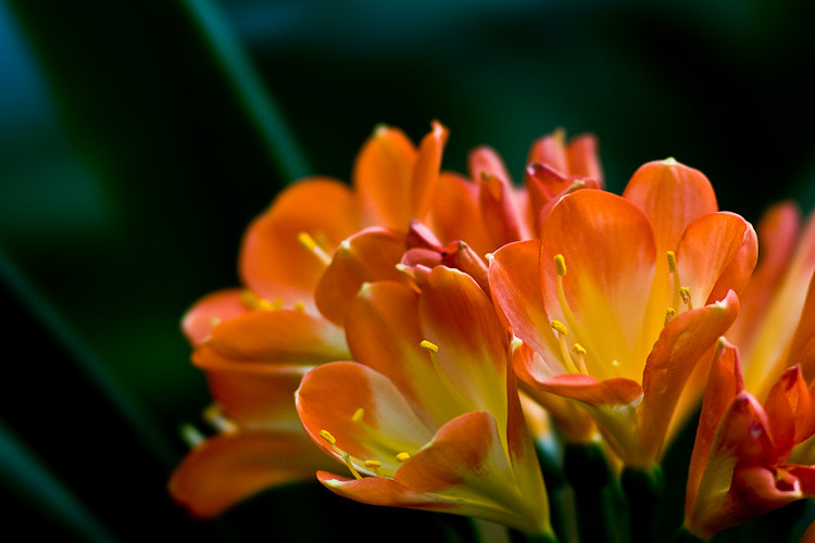 a3235186_s.jpg