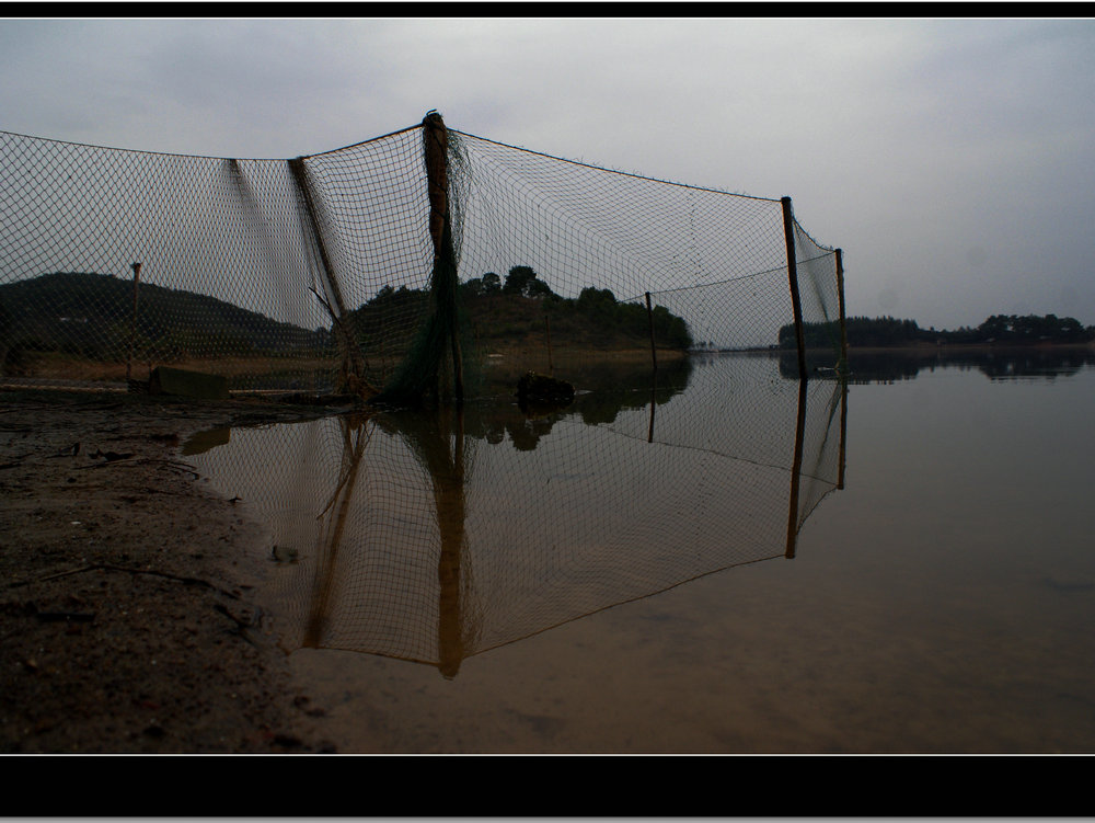 DSC09359.jpg