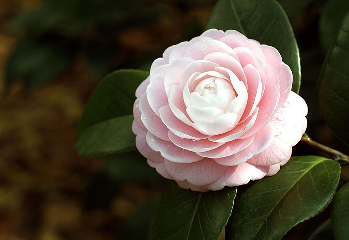 nEO_IMG__DSC3316.jpg