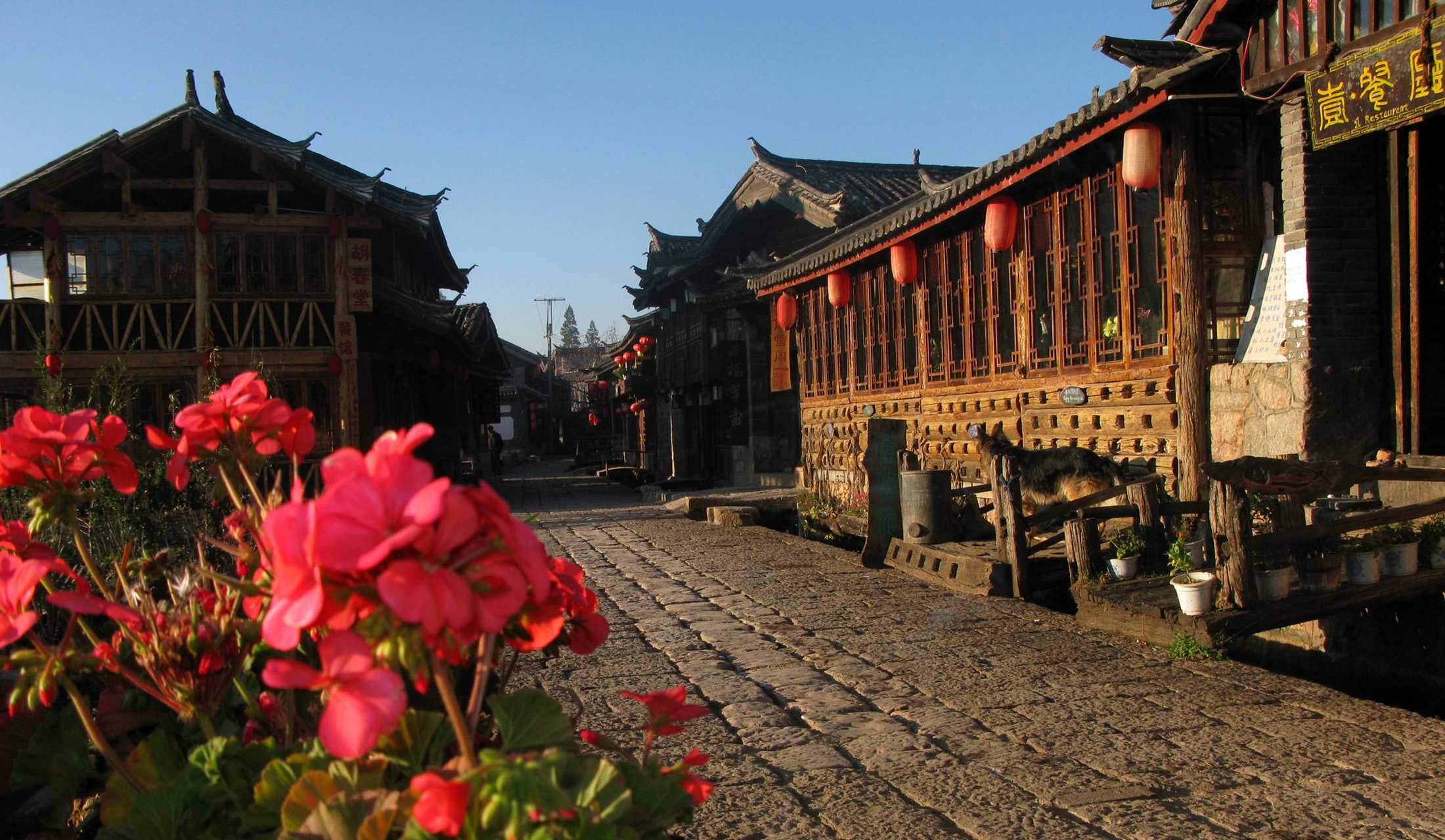 古城阳光 (2).jpg