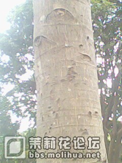 IMG0137A.jpg