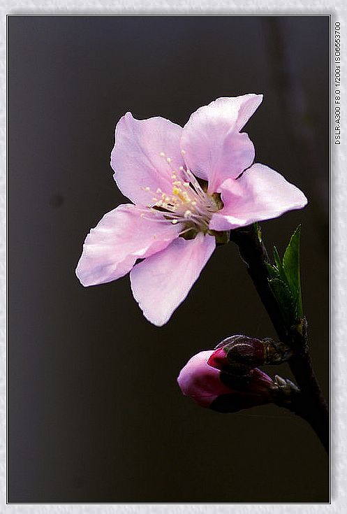 001123ff7708f1s73z87u5.jpg