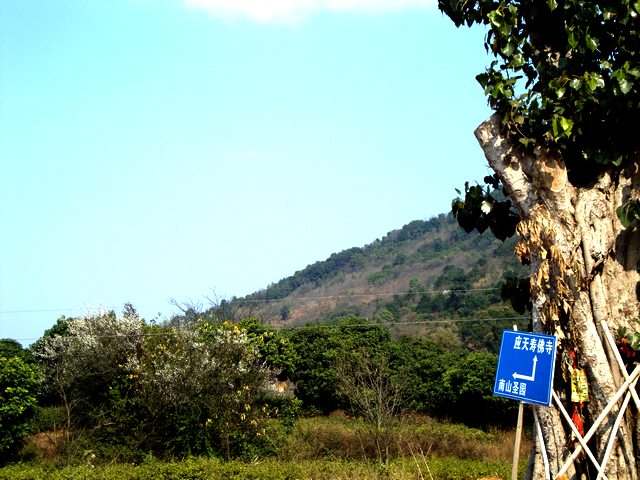 DSC08681.jpg